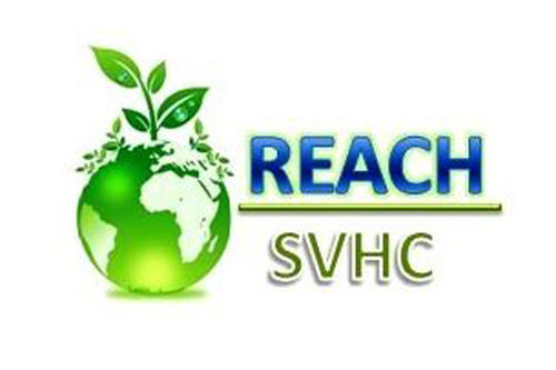 REACHJC.jpg